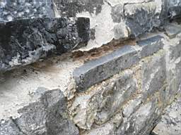 acastle 180460.jpg